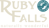 Ruby Falls footer logo